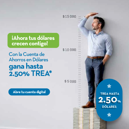 Cuenta de Ahorros en Dólares