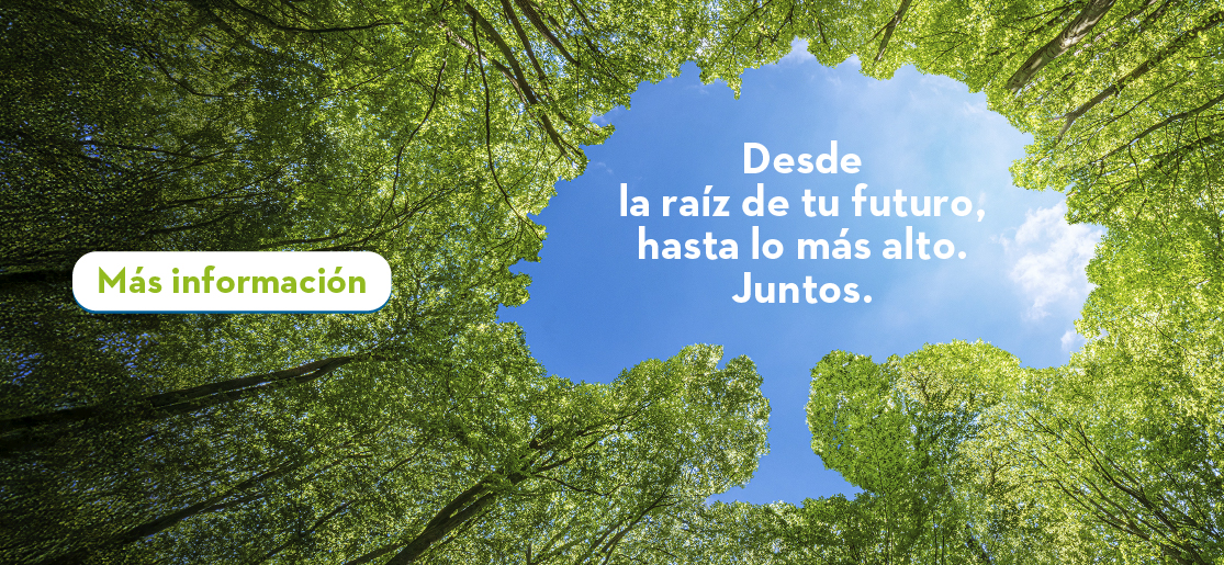 Plan de Marca