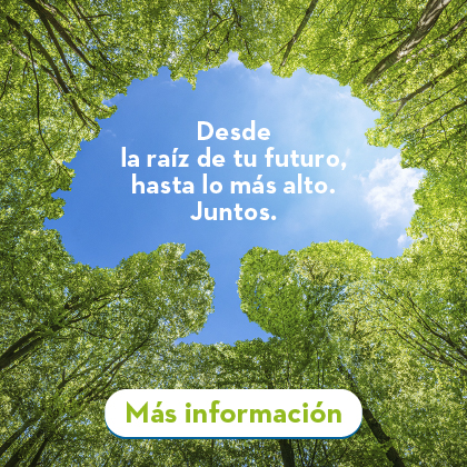 Plan de Marca